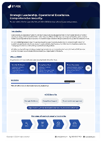 vciso_datasheet
